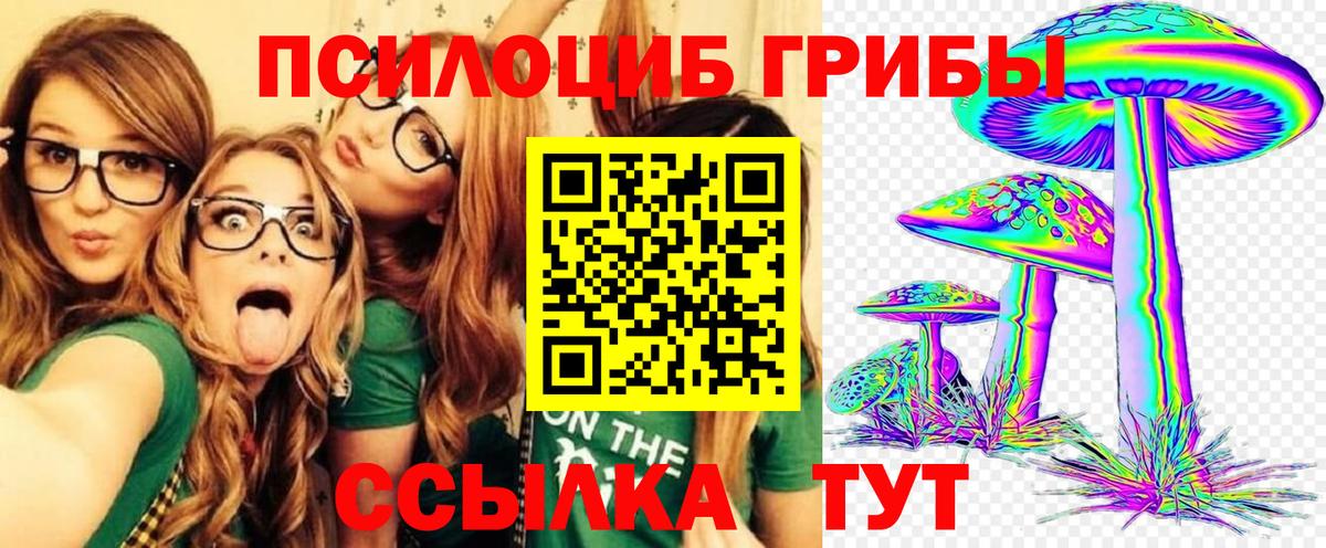 Галлюциногенные грибы Cubensis Верхний Уфалей